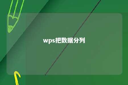 wps把数据分列 