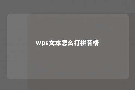 wps文本怎么打拼音格 