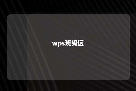 wps班级区 