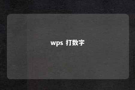 wps 打数字 