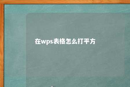 在wps表格怎么打平方 