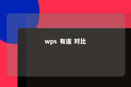 wps 有道 对比 