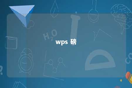 wps 磅 