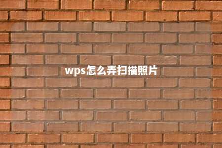 wps怎么弄扫描照片