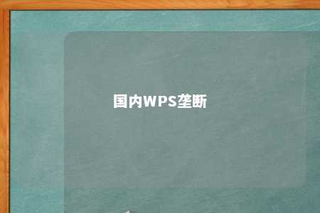 国内WPS垄断 