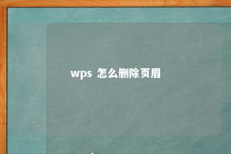 wps 怎么删除页眉 