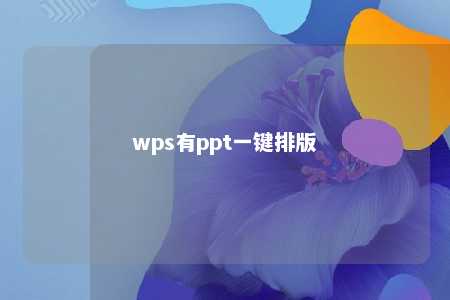 wps有ppt一键排版