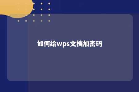 如何给wps文档加密码