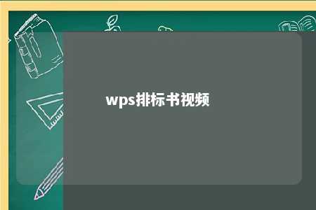 wps排标书视频 