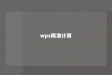 wps精准计算 