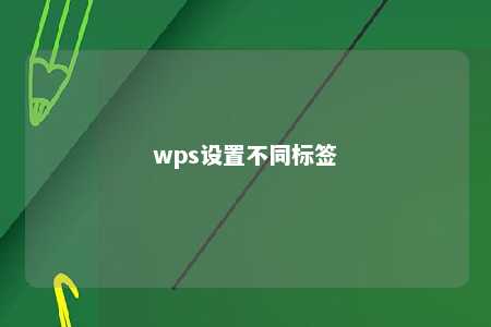 wps设置不同标签 