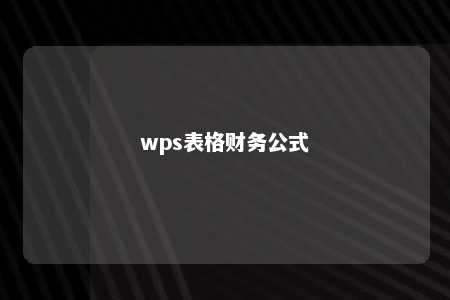 wps表格财务公式 