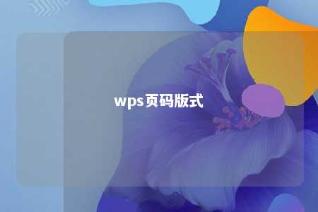 wps页码版式 