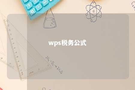 wps税务公式