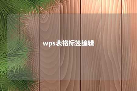 wps表格标签编辑 