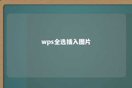 wps全选插入图片 