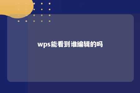 wps能看到谁编辑的吗 