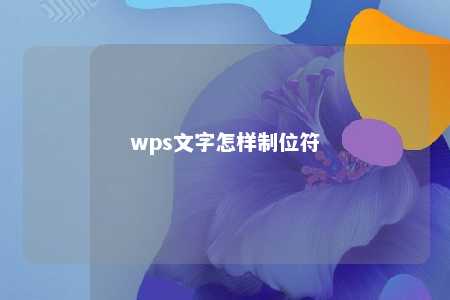 wps文字怎样制位符