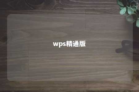 wps精通版