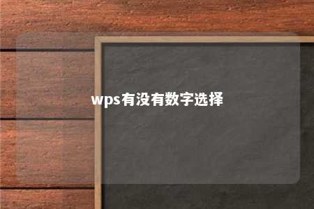 wps有没有数字选择 