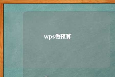 wps做预算