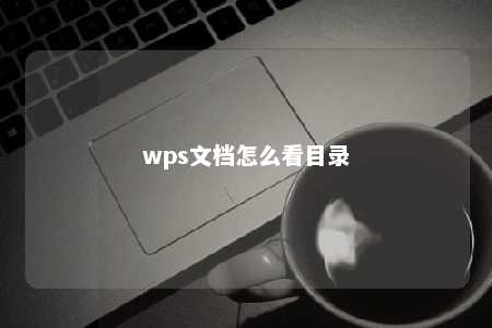 wps文档怎么看目录 