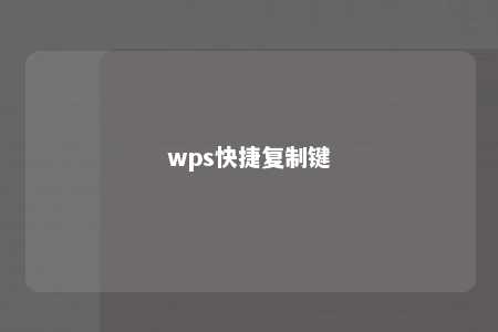 wps快捷复制键 