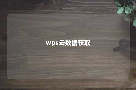 wps云数据获取