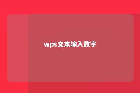 wps文本输入数字