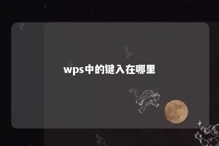 wps中的键入在哪里 