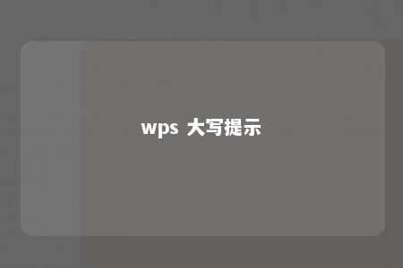 wps 大写提示 