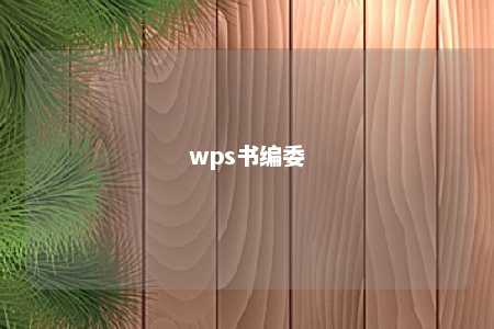 wps书编委