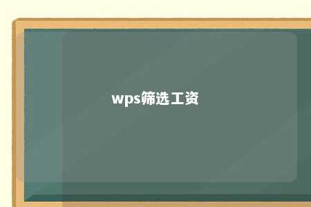 wps筛选工资 