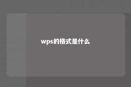 wps的格式是什么 