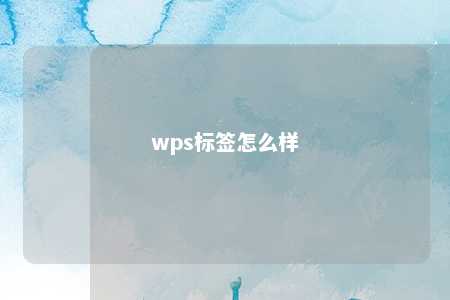 wps标签怎么样