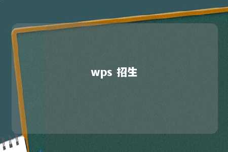 wps 招生 