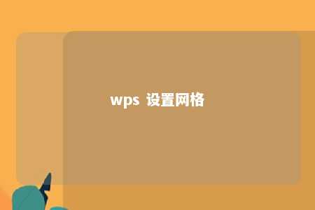 wps 设置网格