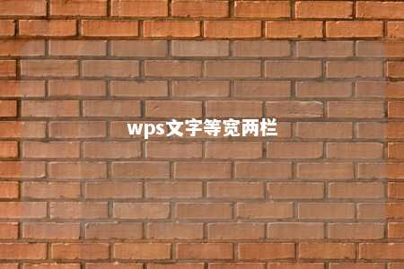 wps文字等宽两栏