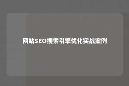 网站SEO搜索引擎优化实战案例 