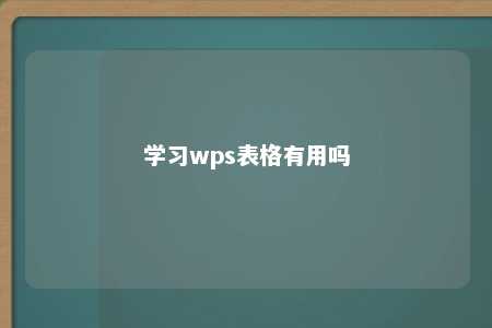 学习wps表格有用吗