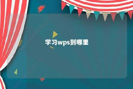 学习wps到哪里 