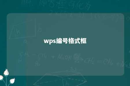 wps编号格式框