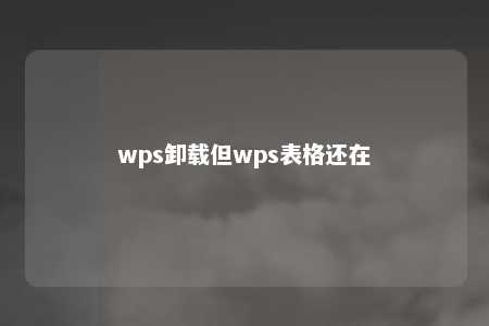 wps卸载但wps表格还在