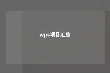 wps项目汇总 