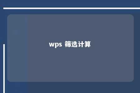 wps 筛选计算 