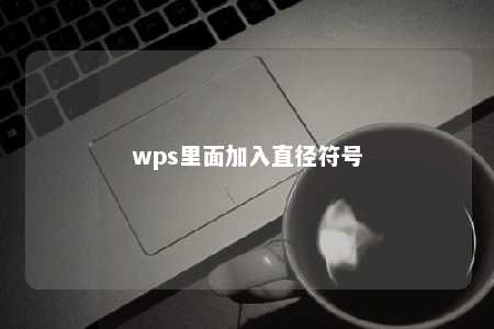 wps里面加入直径符号 