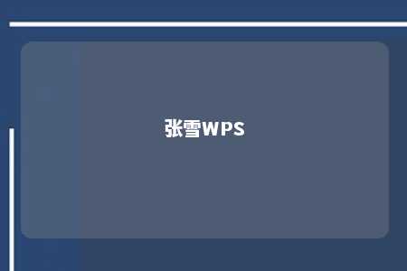 张雪WPS