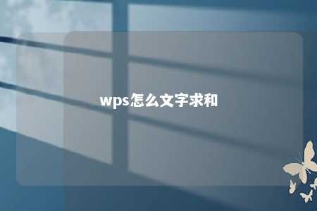 wps怎么文字求和 