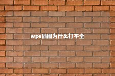 wps插图为什么打不全 