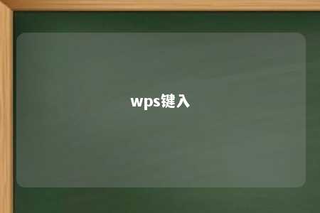 wps键入 